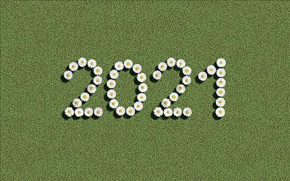 任天堂香港发布 《宝可梦 晶灿钻石／明亮珍珠》简中介绍视频