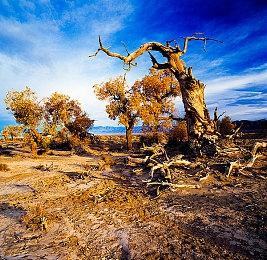 《海洋奇缘2》内地定档 11月29日全国上映